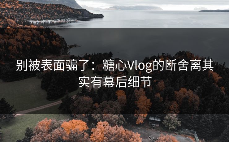 别被表面骗了：糖心Vlog的断舍离其实有幕后细节