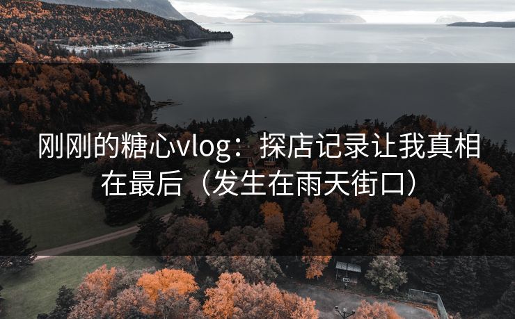 刚刚的糖心vlog：探店记录让我真相在最后（发生在雨天街口）